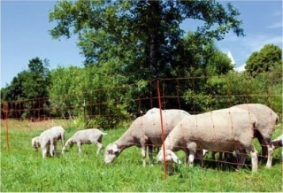 Birka terelő készlet hálóval,oszlopokkal